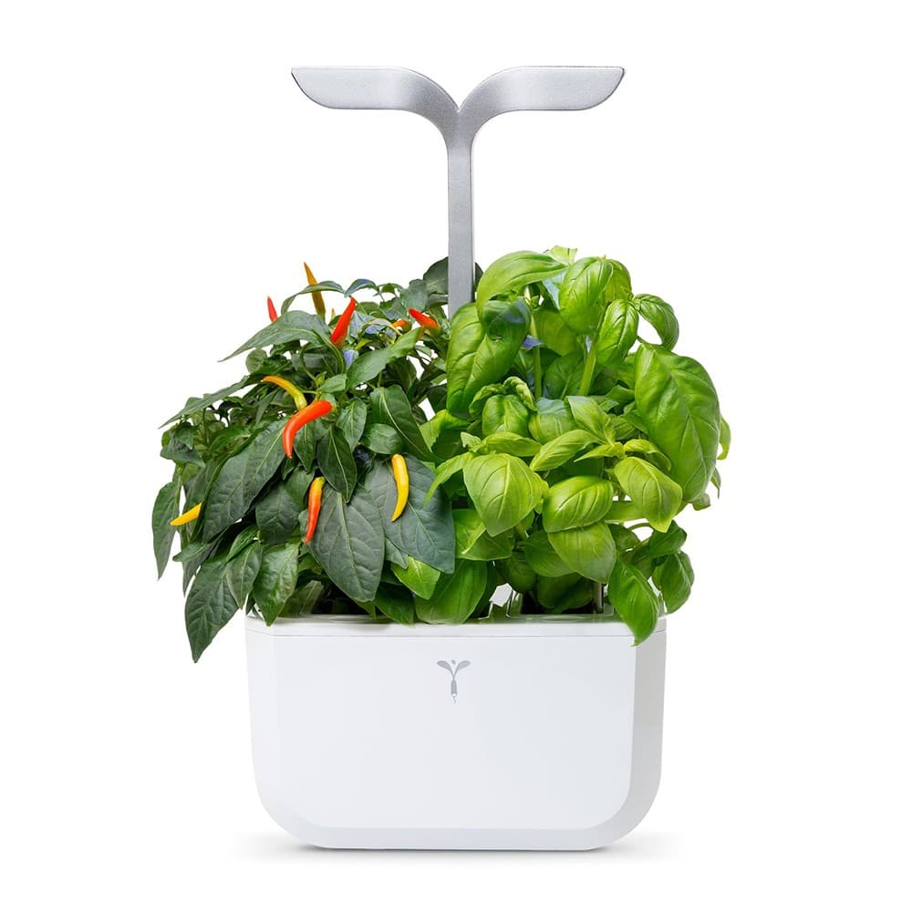 Veritable EXKY 2-Slot Smart Indoor Garden in Arctic White & Satin Silver