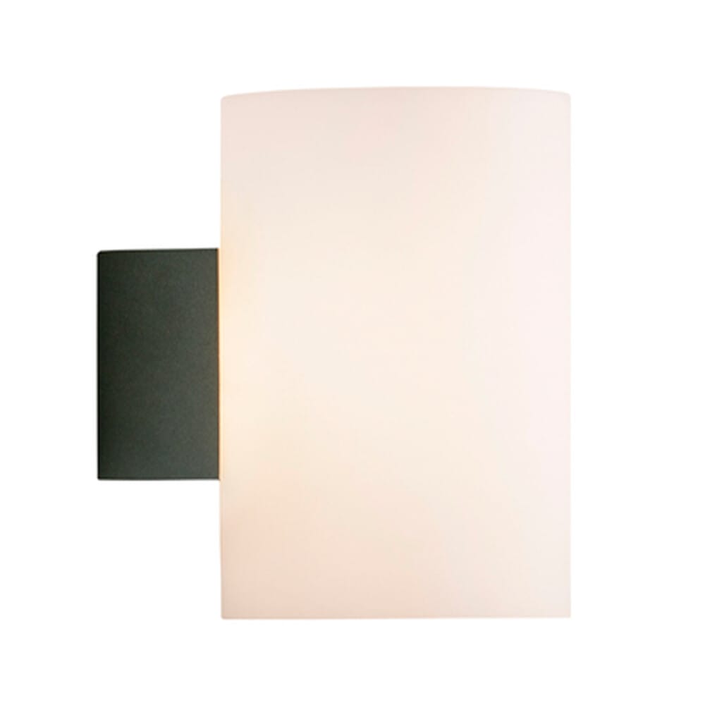 Herstal - Evoke Wall Lamp IP44 Large Anthracite/Opal