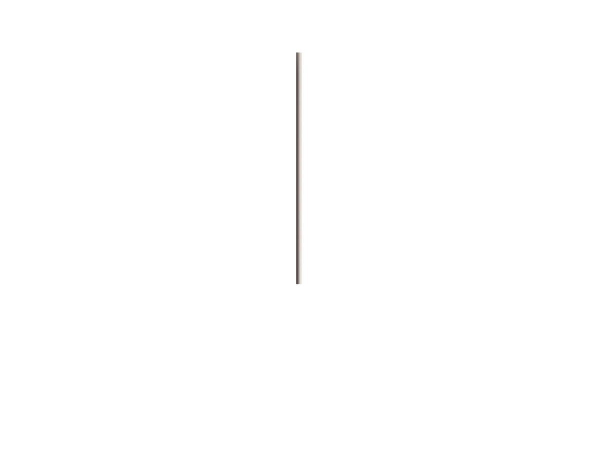 KDLN - Bird Rod L110,5 White KDLN
