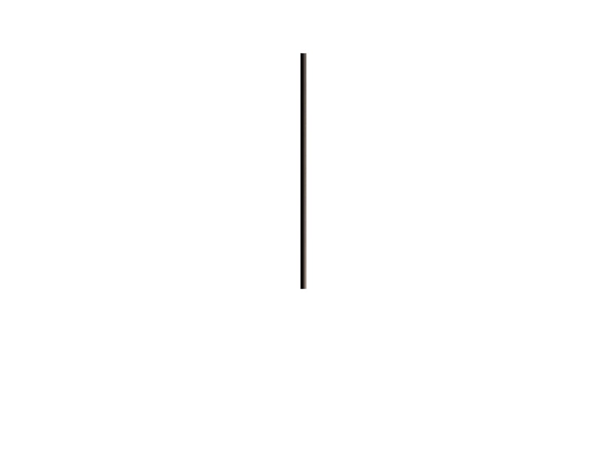 KDLN - Bird Rod L110,5 Black KDLN