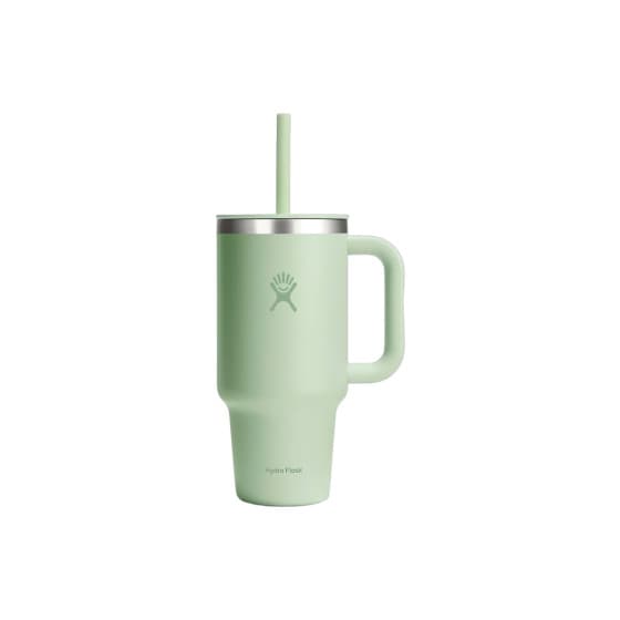 Hydro Flask All Around Aloe tumbler, 946 ml