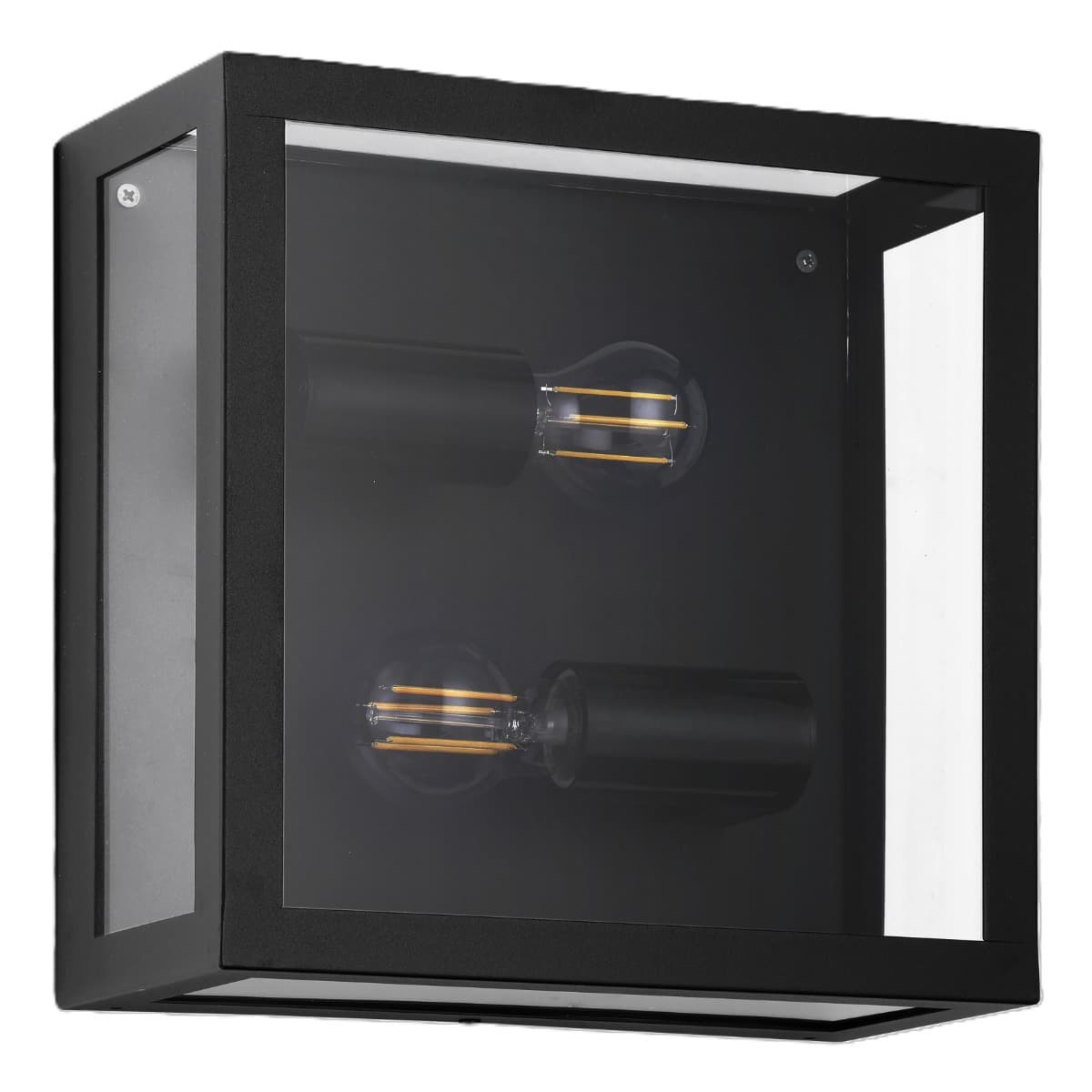 Eglo Alamonte 1 Black Outdoor E27 Wall/Ceiling Light IP44