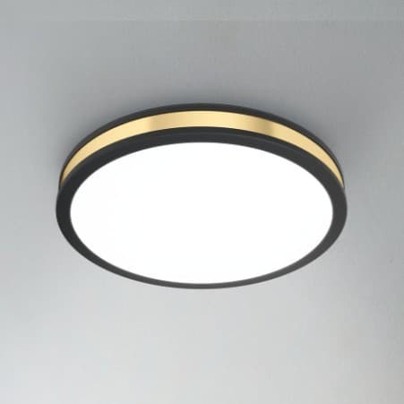 Eglo Pescaito Black LED Wall/Ceiling Light 3000K