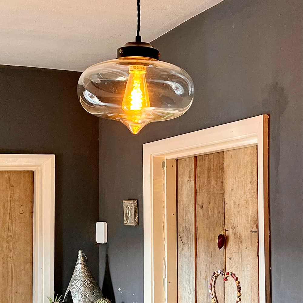 Goslett Clear Blown Glass Fish Bowl Pendant Light - Elesi